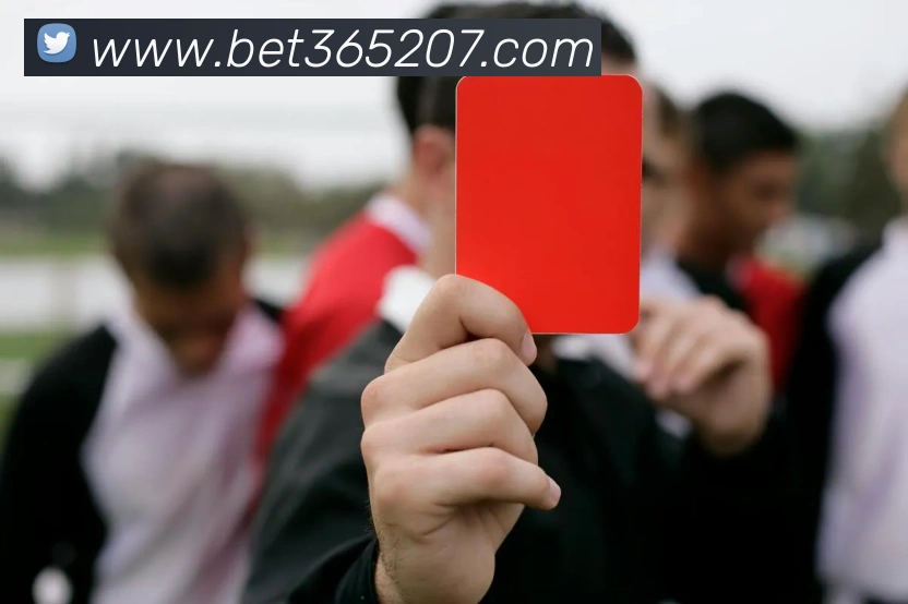 bet365中国官网发展历程